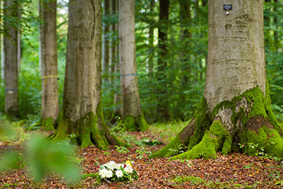 Bild: #123047656 von Zauberkugel Studio – stock.adobe.com Bild: #123047656 von Zauberkugel Studio – stock.adobe.com