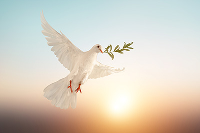 Foto: AdobeStock #317248189 von sakepaint Foto: AdobeStock #317248189 von sakepaint